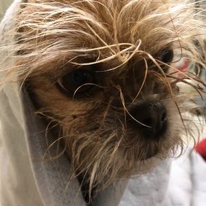 Meet your Posher, Joseph